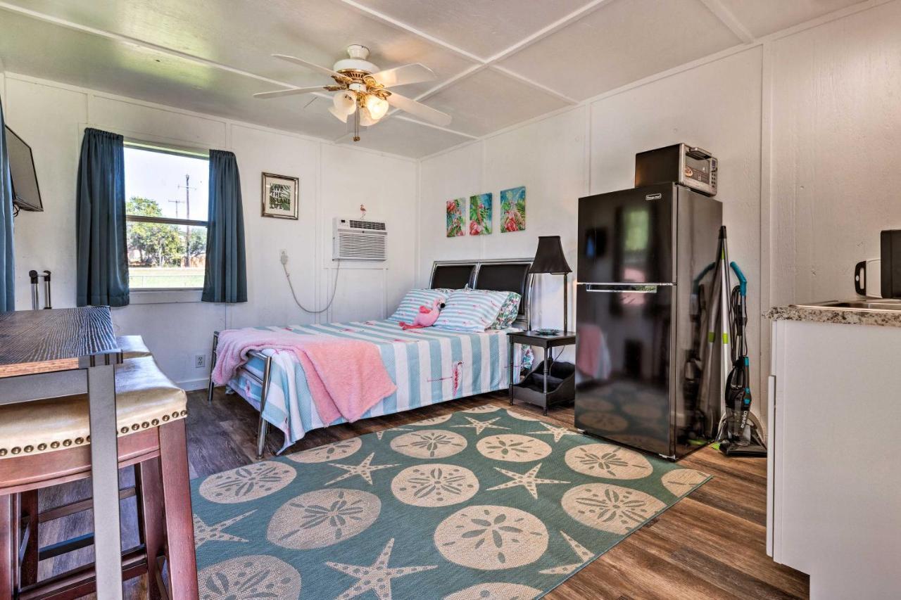 Flirty Flamingo Studio 1 Mi To Canyon Lake Exterior photo